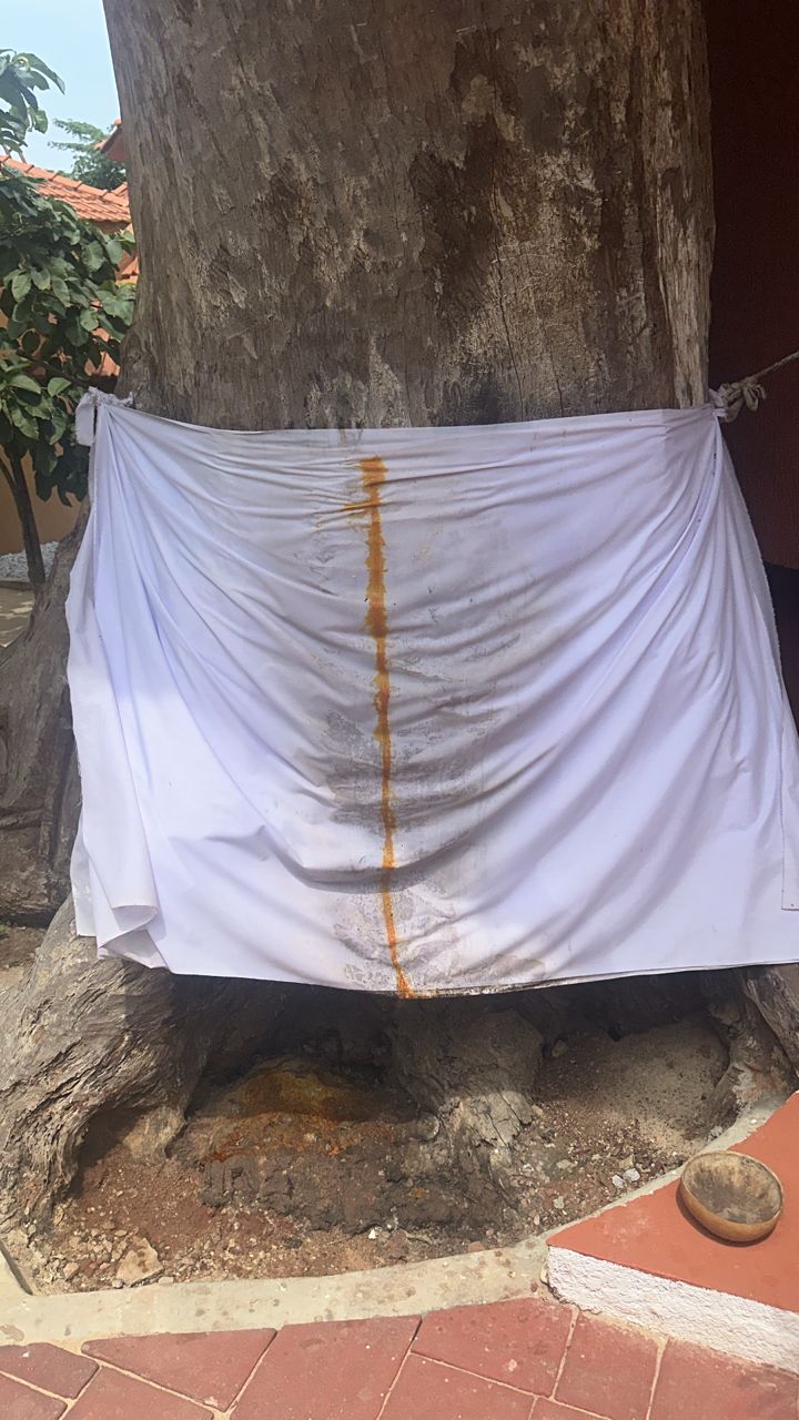 Histoire du Temple des Pythons de Ouidah